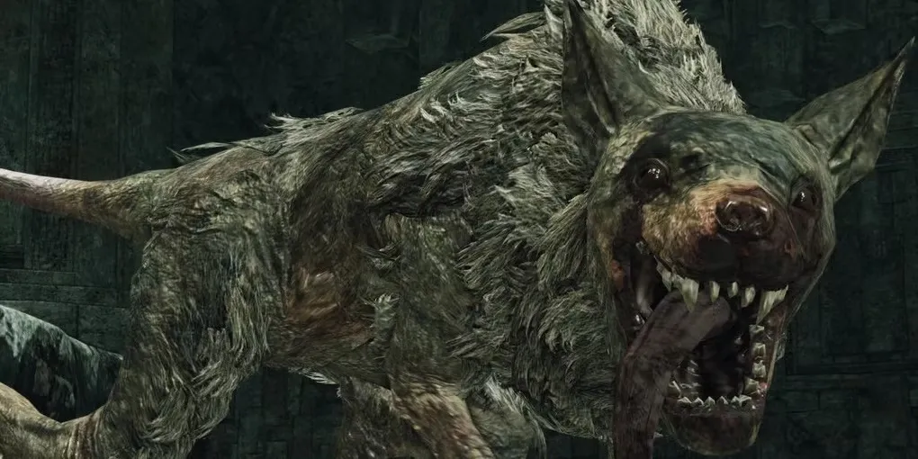 Boss Royal Rat Authority từ Dark Souls 2, một con chuột khổng lồ với bộ lông xù xì