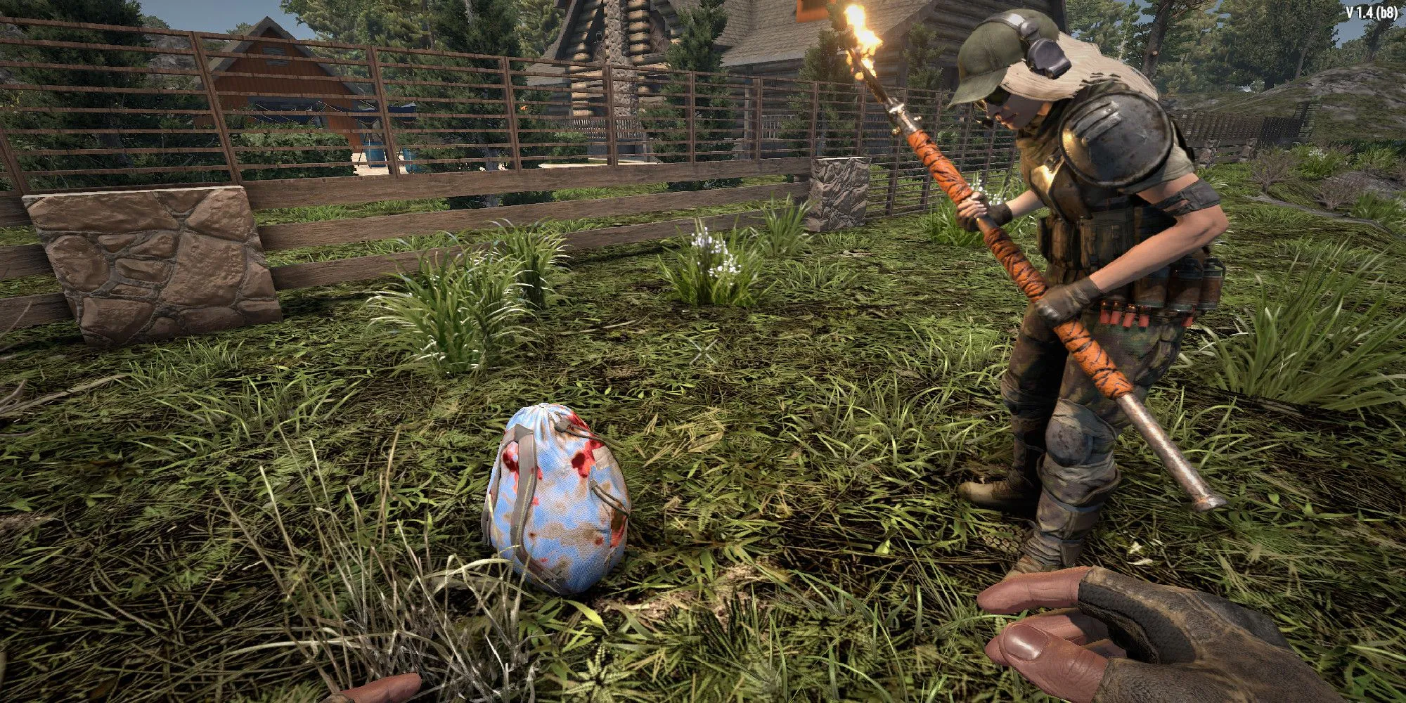 looting-2.jpeg