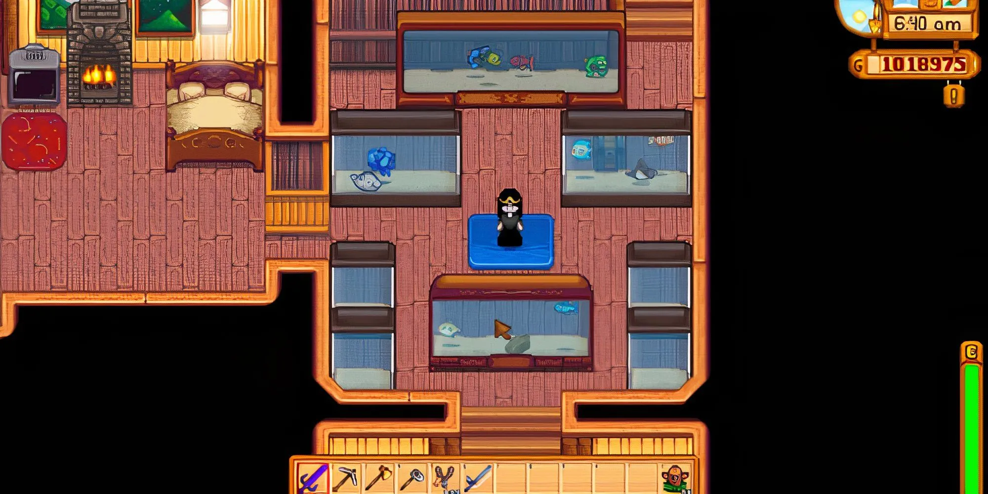 Một bể cá lớn được trang trí đẹp mắt trong nhà của người chơi Stardew Valley, thể hiện sự đầu tư vào thẩm mỹ.