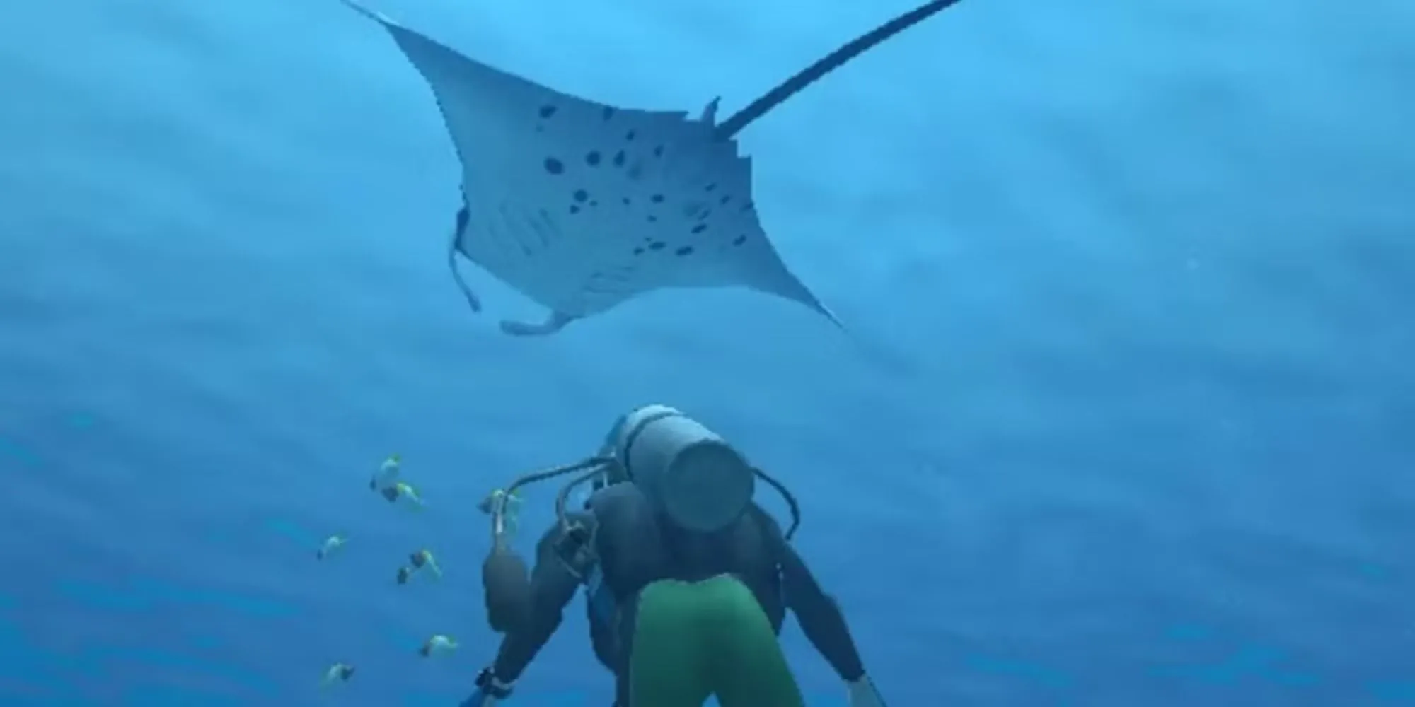 Nhân vật người chơi quan sát một con cá đuối manta trong game Endless Ocean.