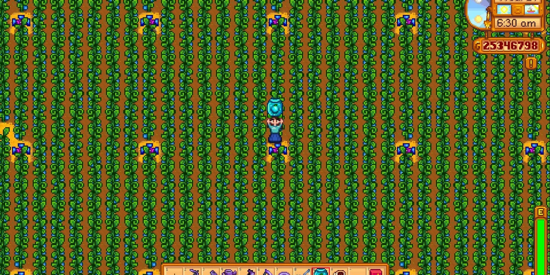 Trang trại Táo Cổ điển (Ancient Fruit) được tối ưu hóa trong game Stardew Valley
